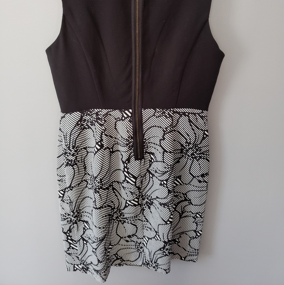 The Limited Dress - Picture 5 of 5